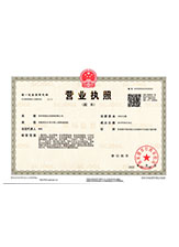 龙胜营业执照副本